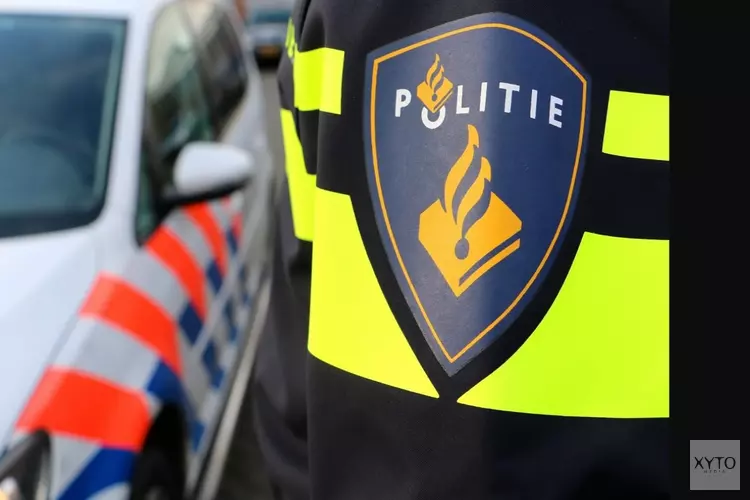 Drietal gearresteerd voor vernielingen aan auto&#39;s