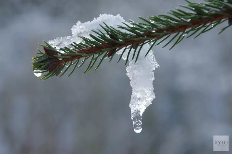 Dooi zet stevig door, binnen een week van winterse kou naar lentegevoel