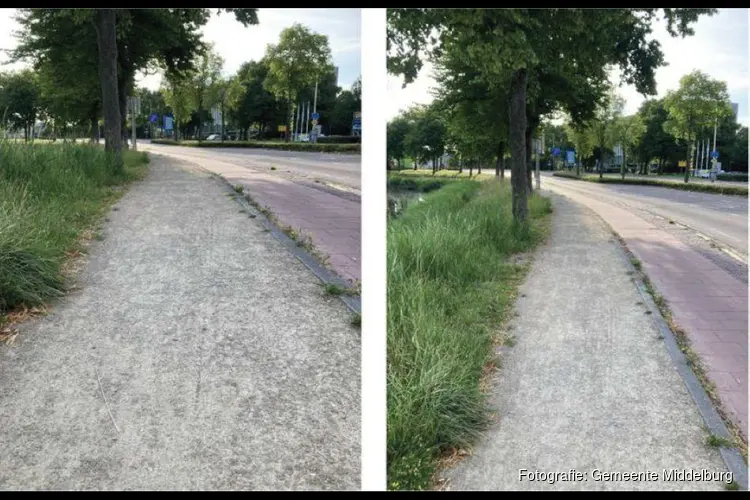 Aanpassen en verbeteren voetpaden Seissingel