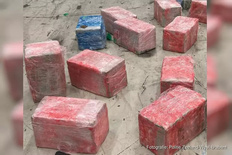 Douane onderschept 656 kilo cocaïne in haven Vlissingen