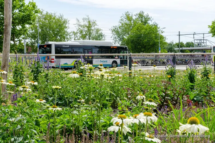 Biodiversiteit krijgt kansen in Middelburg