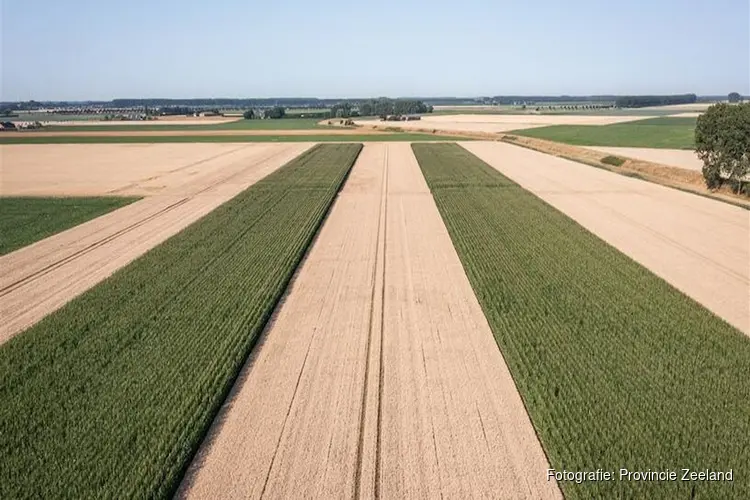 Subsidie voor verduurzaming landbouwbedrijven